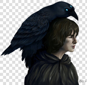 Bran Stark Png Transparent Image  Png Download