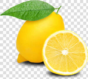 Lemon Clipart Clear Background   Lemon Clipart Png  Transparent Png