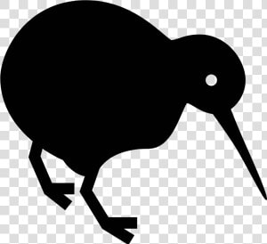 Kiwi Bird Png   Kiwi Bird Icon Transparent  Png Download