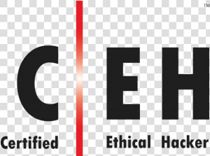 Certified Ethical Hacker Logo  HD Png Download