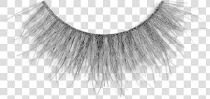 Classic Lash   Jacqueline   Eyelash Extensions  HD Png Download