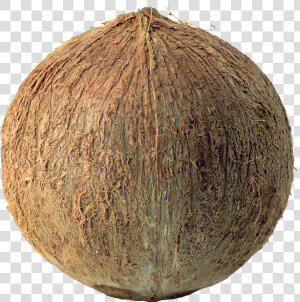 Coconuts Png Image  Transparent Png