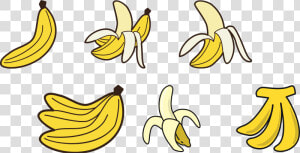 Transparent Bananas Png   Banana Drawing  Png Download