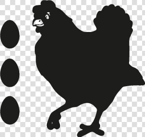 Rooster Brahma Chicken Hen Drawing   Disegno Gallina Immagini  HD Png Download