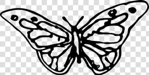 Cute Butterfly Line Drawing 15  Buy Clip Art   Hand Drawn Butterfly Png  Transparent Png