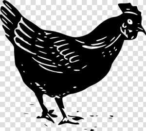 Hay Clipart Chicken   Black And White Chicken Clip Art  HD Png Download