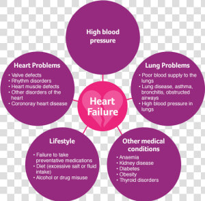 Hf Basics Circles   Heart Failure Causes  HD Png Download