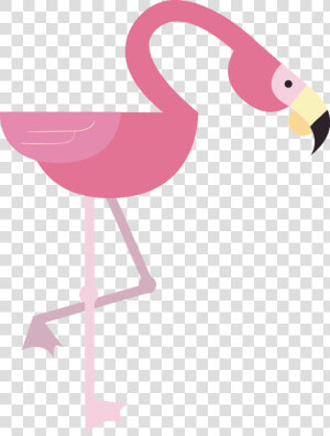 Drawing Animation Style Flamingos   Cách Vẽ Con Hồng Hạc  HD Png Download