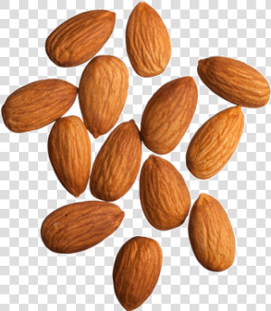 Apricot kernel   Almonds Png  Transparent Png