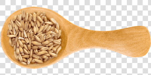 Spelt Png  Transparent Png