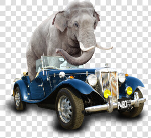 Car Elephant Fin   Indian Elephant  HD Png Download