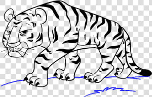 How To Draw Cartoon Tiger   Tiger Cartoon Drawing Easy  HD Png Download