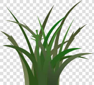 Green Grass Clip Art   Dark Green Grass Clipart  HD Png Download