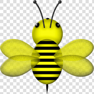 Ϧeeʂ ‿✿⁀ Bee Clipart  Buzz Bee  Bugs  Favorite   Honeybee  HD Png Download