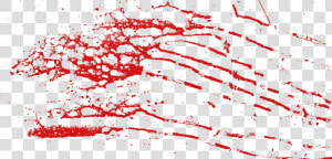 The Bloodied Vagina   Blood Splatter Png  Transparent Png