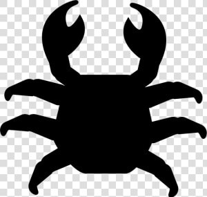 Crab Cake Vector Graphics Computer Icons Illustration   Top View Of Animals  HD Png Download