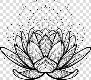 Illustration Vector Design Graphics Drawing Stock Clipart   Lotus Flower Line Drawing  HD Png Download