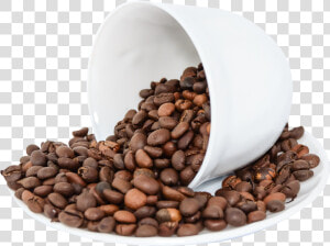 Pngpix Com Coffee Beans Png Image   Coffee Bean Png Free  Transparent Png