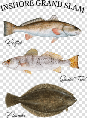 Speckled Trout Pillow Case   Png Download   Trout Redfish And Flounder  Transparent Png