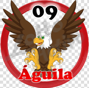 Aguila Lotto Activo Clipart   Png Download   Aguila Lotto Activo  Transparent Png