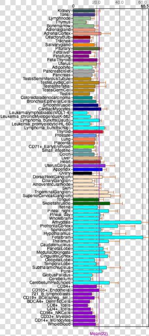 Fam188a Tissue Expression   Colorfulness  HD Png Download