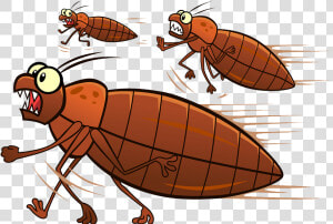 Bed Bugs Running   Bed Bug Running  HD Png Download