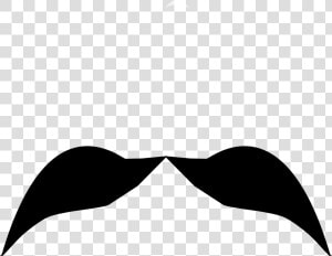 Clipart Mustache Real   شارب Png  Transparent Png