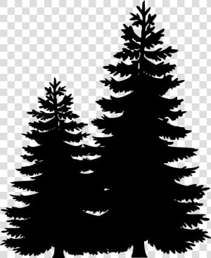 Clip Art Portable Network Graphics Pine Tree Image   Pine Tree Line Silhouette  HD Png Download