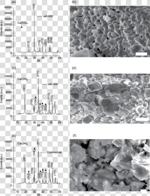 Diffractogram Patterns Of The Samples And Scanning   Monochrome  HD Png Download