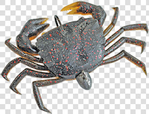 Crabs Png  Transparent Png