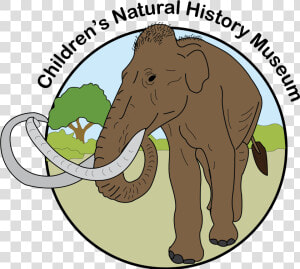 How To Use Museum September 7  2019 Saturday 10am  12   Indian Elephant  HD Png Download