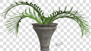 Flowerpot  HD Png Download