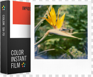 Impossible Sx 70 Film Color  HD Png Download