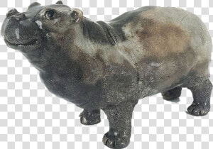 Hippopotamus Png Free Images   Bison  Transparent Png