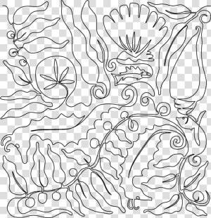 Seahorse Shells And Kelp   Line Art  HD Png Download