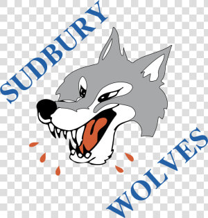 Sudbury Wolves Logo  HD Png Download