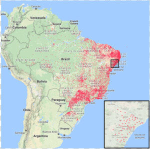 Aedes Aegypti Brazil Map  HD Png Download