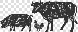 Beef Cuts Clipart  HD Png Download