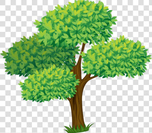 Transparent Planting Clipart   Trees Cartoon  HD Png Download