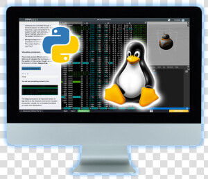 Get Python  amp  Linux Ready   Adã©lie Penguin  HD Png Download