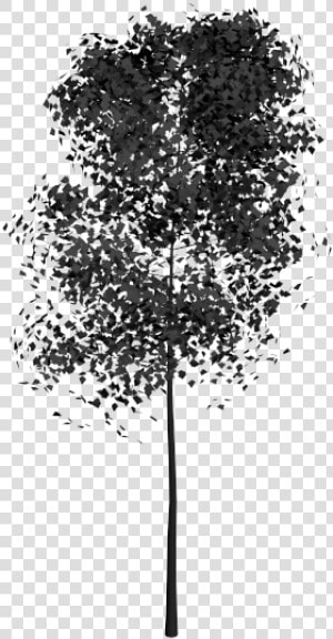 Árbol 3ds Max Bloques   Plane tree Family  HD Png Download