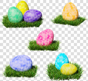 Easter  Egg  Colorful  Colored  Easter Nest  Grass    Transparent Colored Egg  HD Png Download