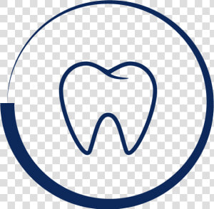 Icon Tooth In Circle   Tooth Vector Png Free  Transparent Png