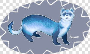 Blue Ferret   Weasel  HD Png Download