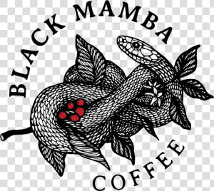 Black Mamba Coffee   Black Mamba Logo  HD Png Download