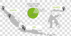 Nutmeg All   Indonesia Map Vector Png  Transparent Png