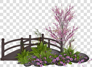 Tp Bridge   Lobelia  HD Png Download