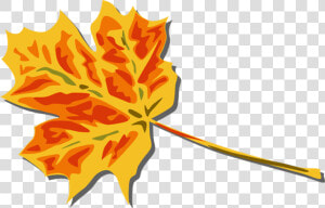 Transparent Fall Tree Clipart Png   Fall Leaves Clip Art  Png Download