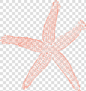 Starfish Ocean Water Free Picture   Coral Starfish Clipart  HD Png Download