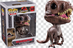 Funko Pop Jurassic Park Velociraptor  HD Png Download